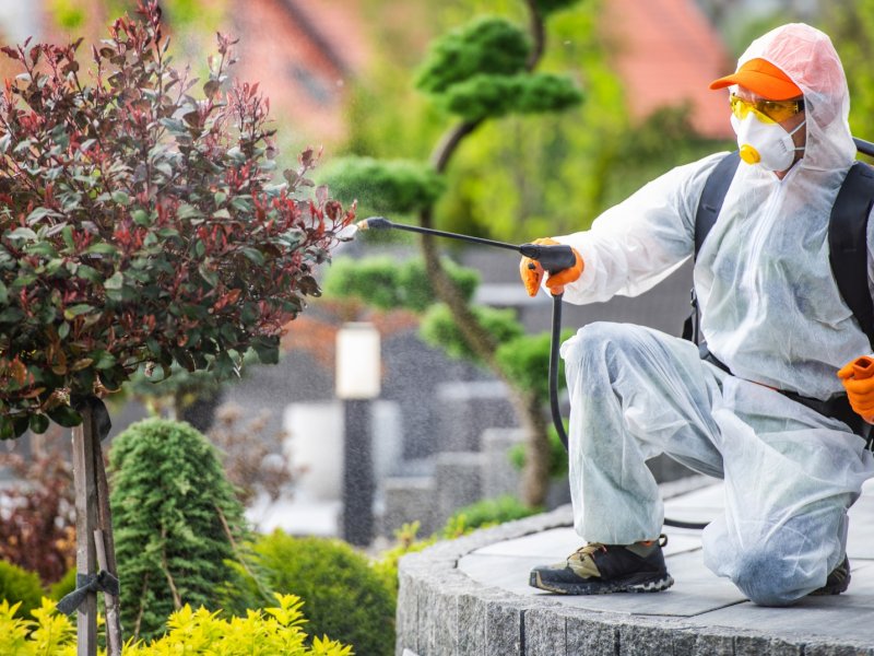 Asarlık Haşere İlaçlama