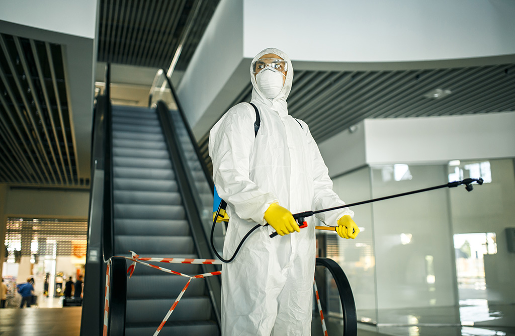 Asarlık Haşere İlaçlama